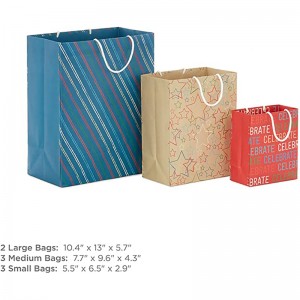 Hallmark Recyclable Gift Bag Assortment (8 Bags: 3 Small 6\